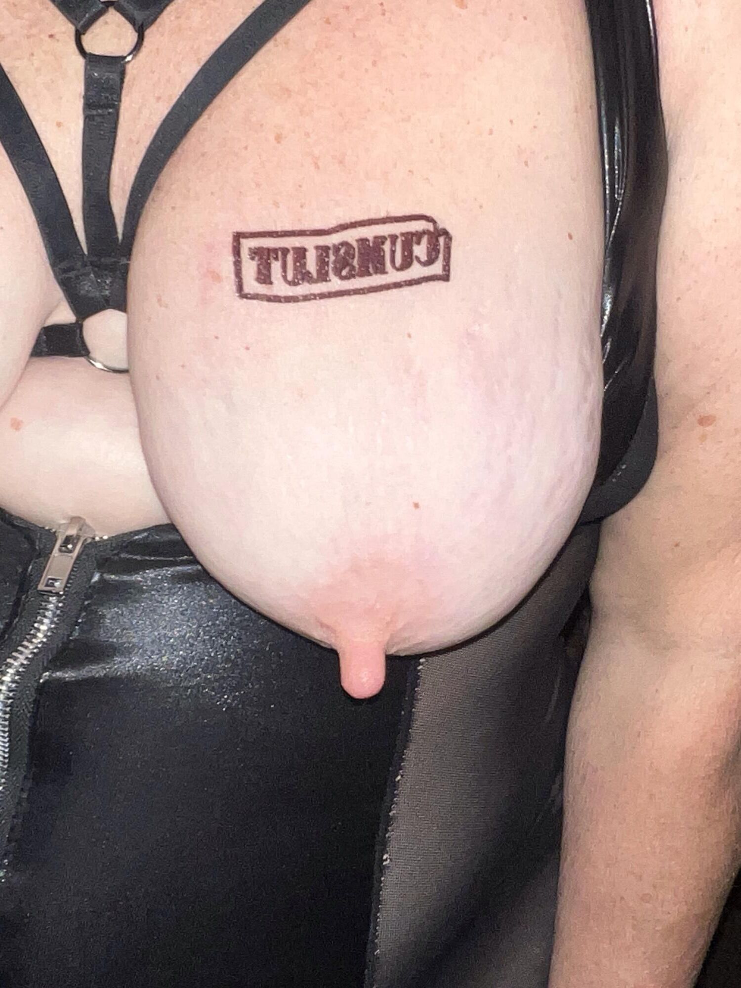 Mi esposa de BBW quiere ser agregada a sus galerías favoritas