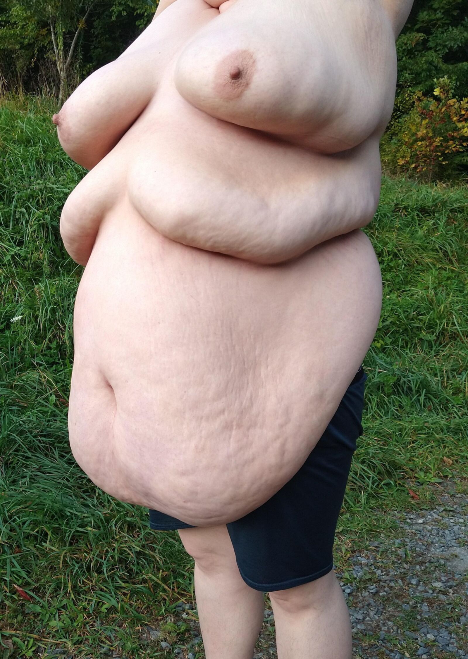 SSBBW Collection
