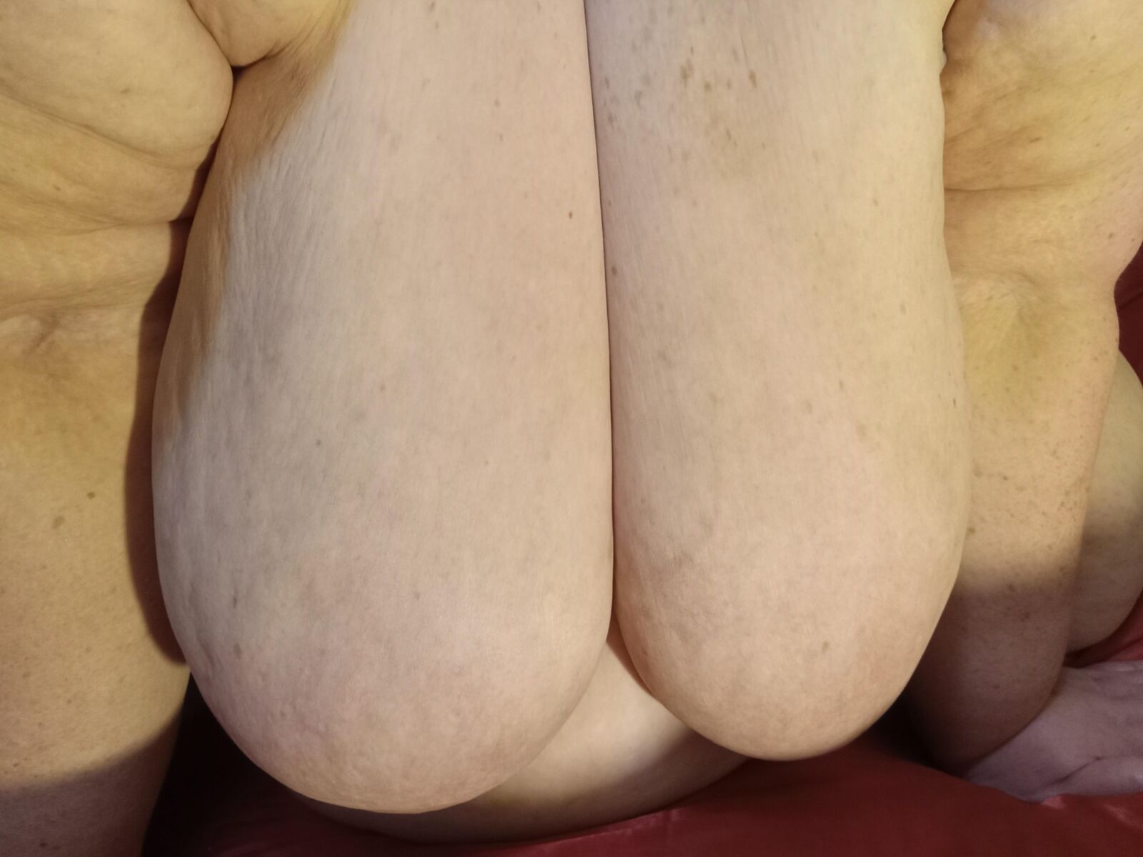 SSBBW Collection