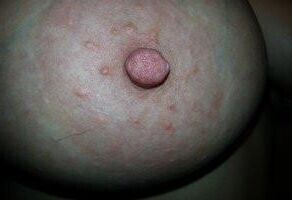 Lateshay milf de mir