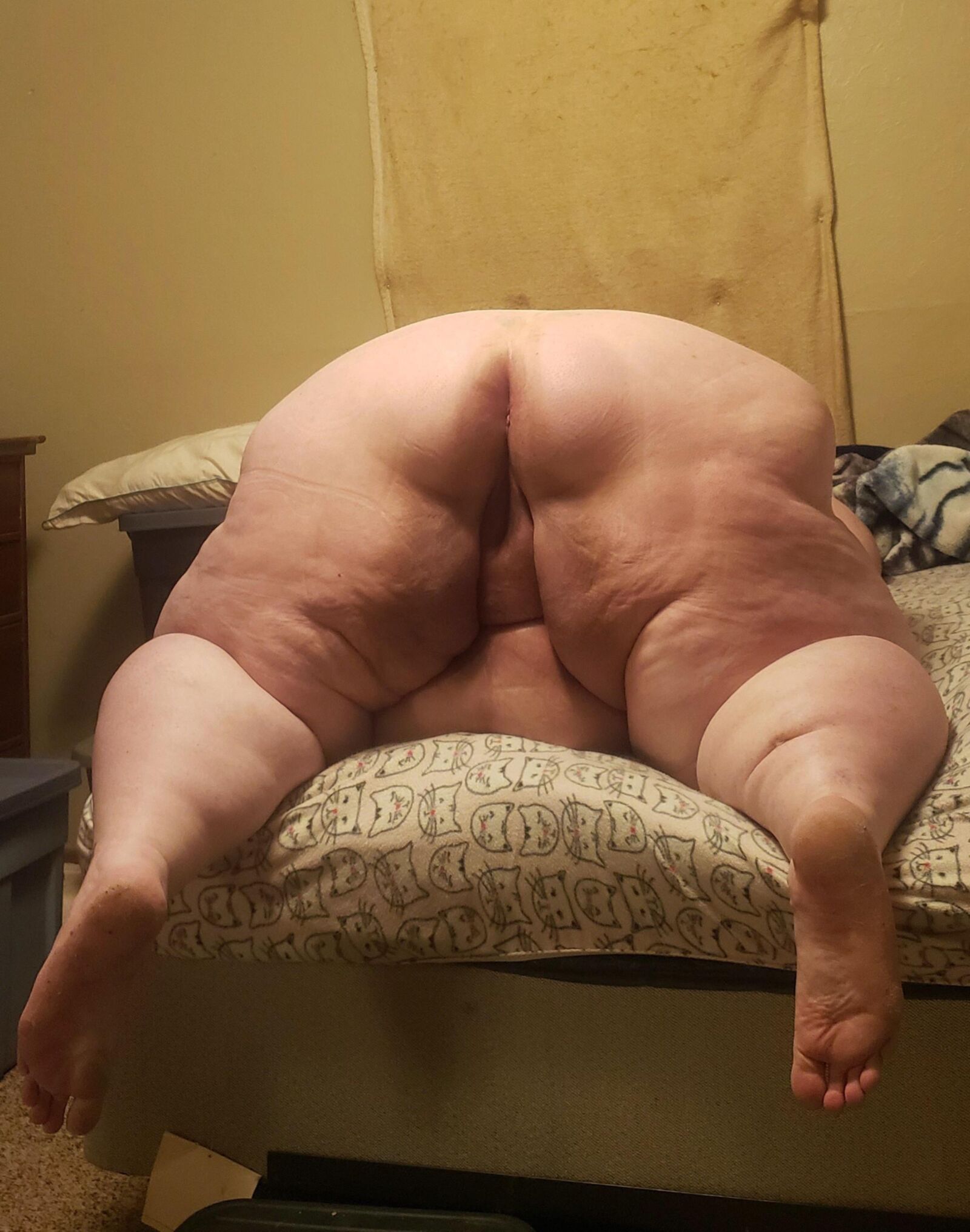 Big Fat BBW, SSBBW, USSBBW Sexy Pigs